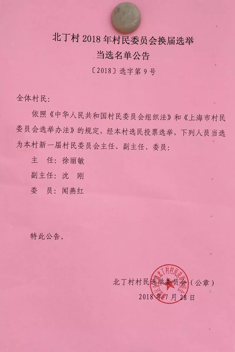 志云村委会人事任命新成员，村级治理迈向新台阶