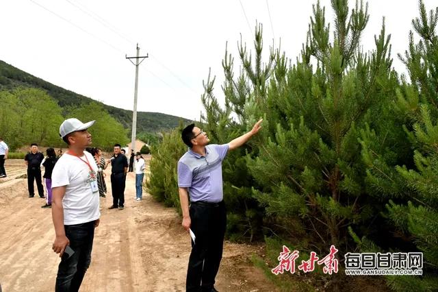 东华池林场领导团队引领未来发展新篇章