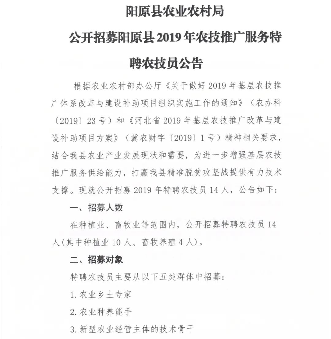 阳原县民政局最新招聘信息全面解析