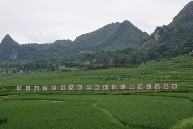 恭城瑶族自治县农业农村局新项目推动农业现代化，乡村振兴再添动力