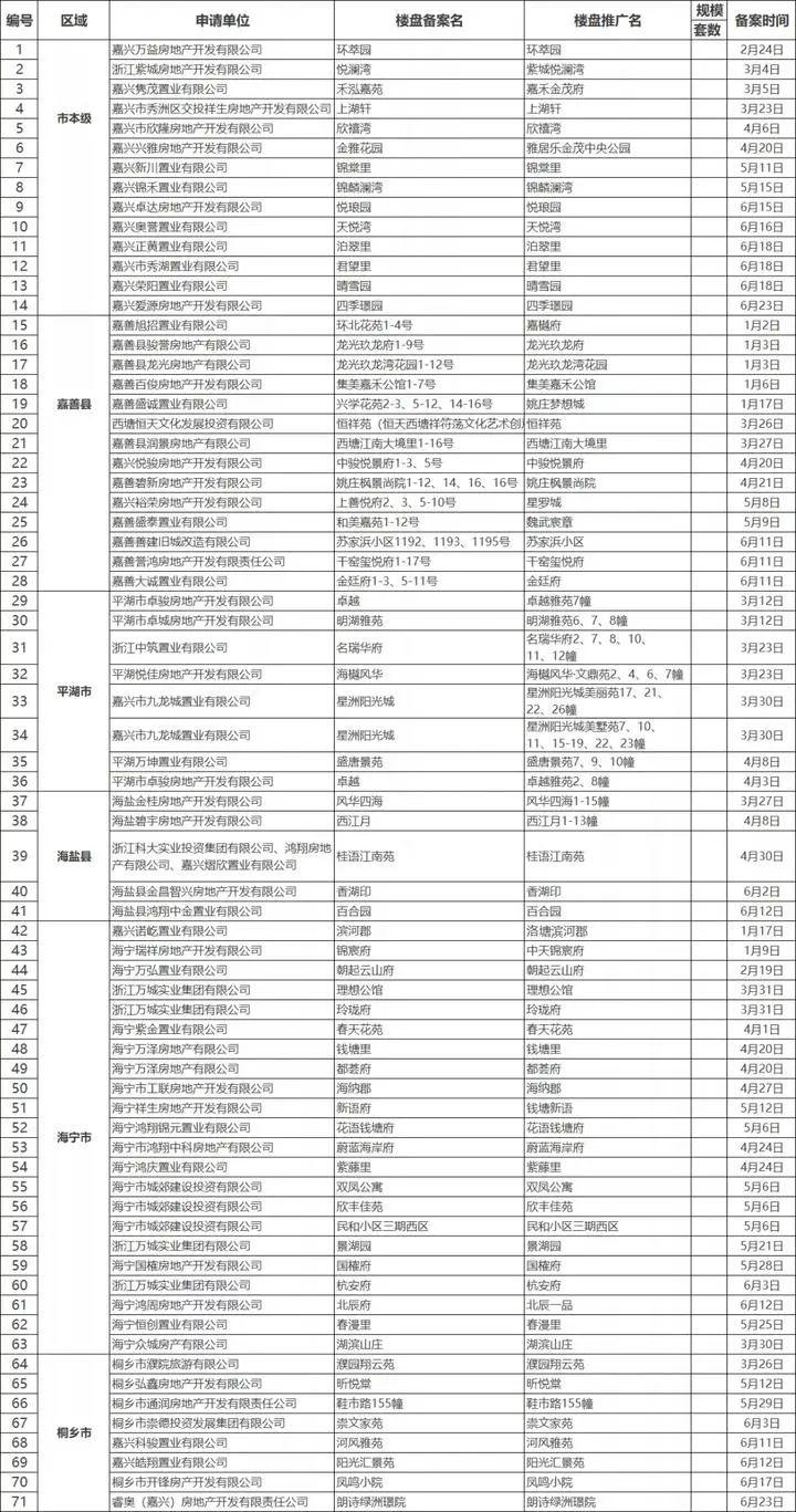 紫城镇最新项目，引领城市新时代的标杆发展之路