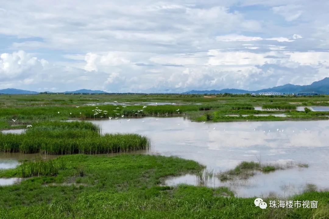 银湖湾湿地公园最新交通新闻，优化交通网络，提升游客体验