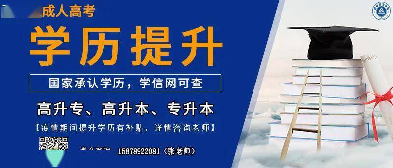 禅城区人力资源和社会保障局最新招聘信息全面解析