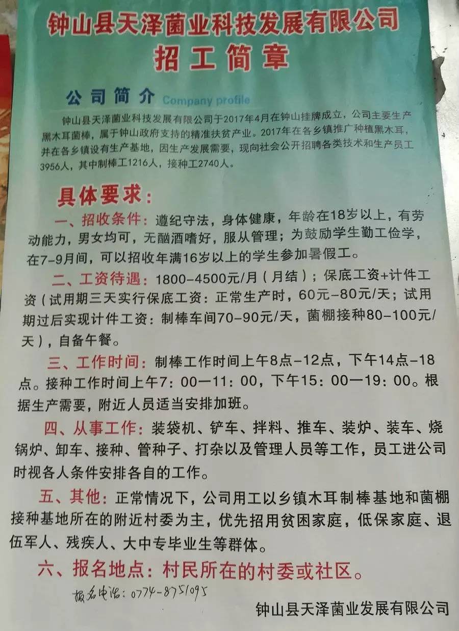 大洼山村民委员会最新招聘信息公告