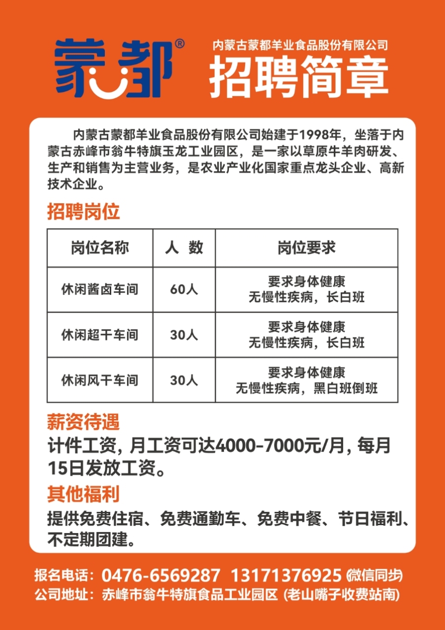 文圣区级托养福利事业单位招聘启事概览