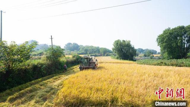 色林村的新领导风采