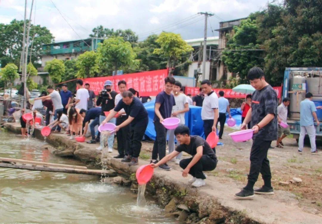 河源市市审计局最新项目，审计工作的新动向与实践