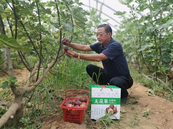 朱老庄镇最新发展规划，塑造未来繁荣的新蓝图