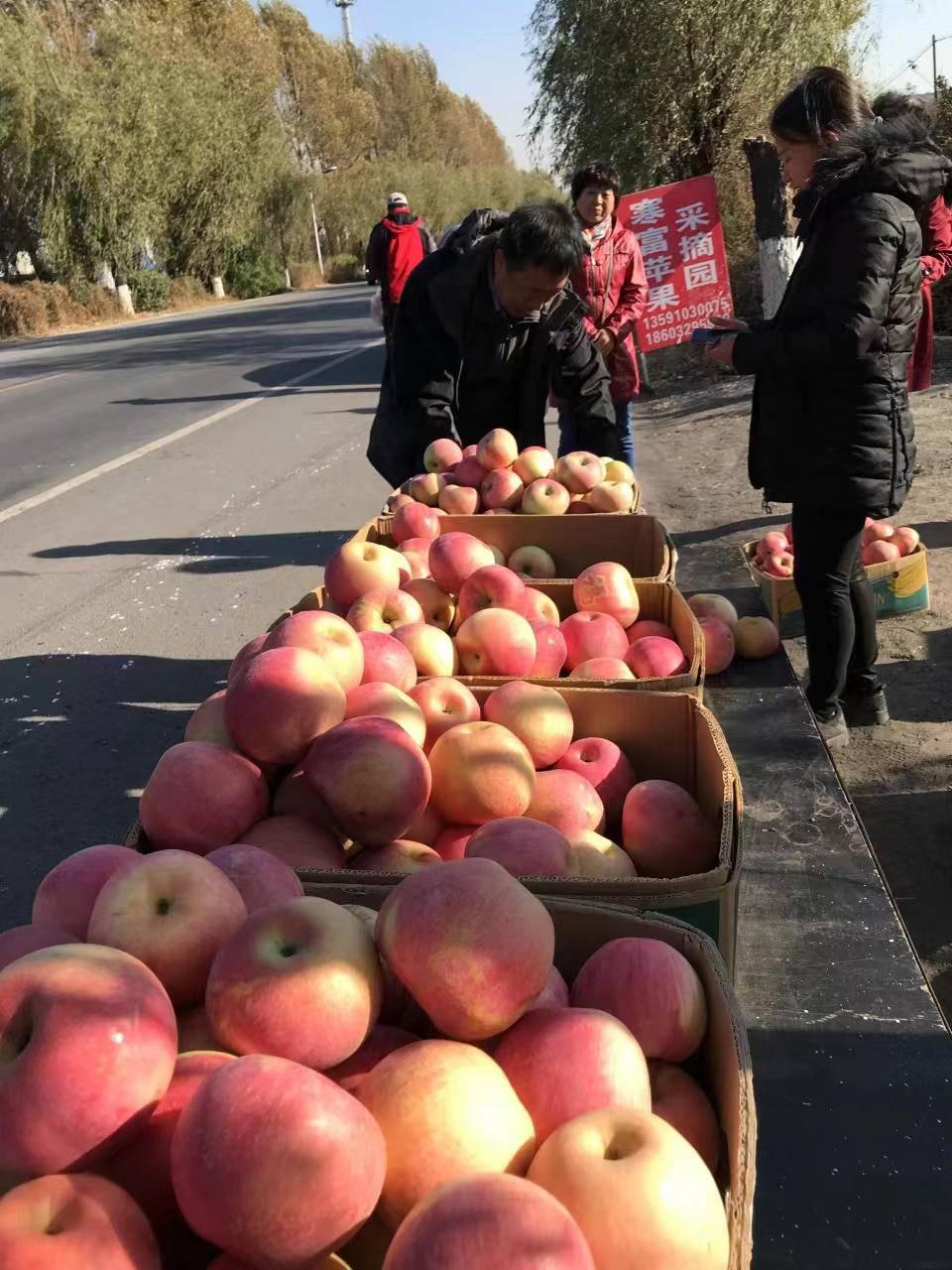 冷子堡镇新项目，引领地区发展的强大引擎