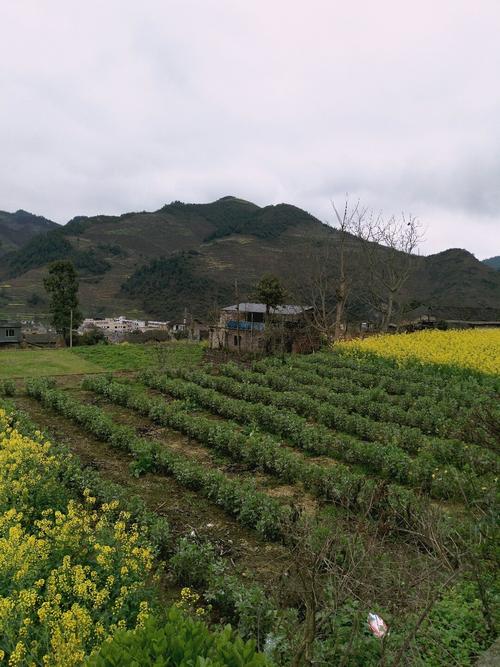 乾西乡天气预报更新通知