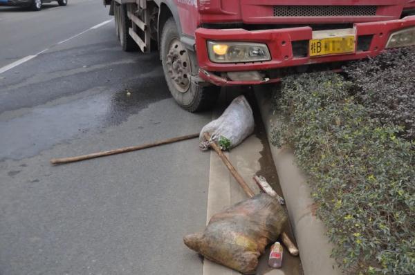 鹿寨县公路运输管理事业单位最新动态报道