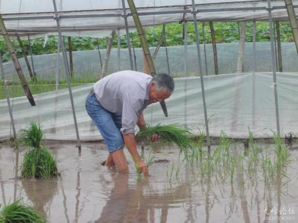 宁溪镇天气预报更新通知